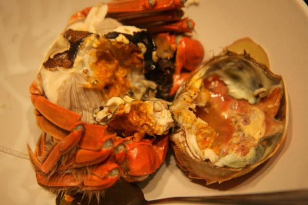 大閘蟹公的貴還是母的貴？為什么價格不一樣？哪個更好吃？