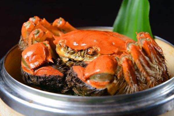 大閘蟹公的貴還是母的貴？為什么價格不一樣？哪個更好吃？