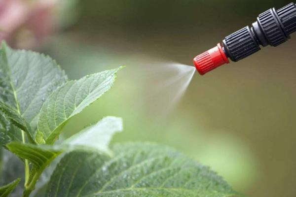 農藥品牌銷售前十名