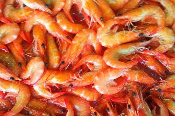 熟蝦冷凍十天還能吃嗎？熟了冷凍后可以保存多久？