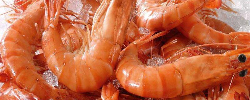 熟蝦冷凍十天還能吃嗎？熟了冷凍后可以保存多久？