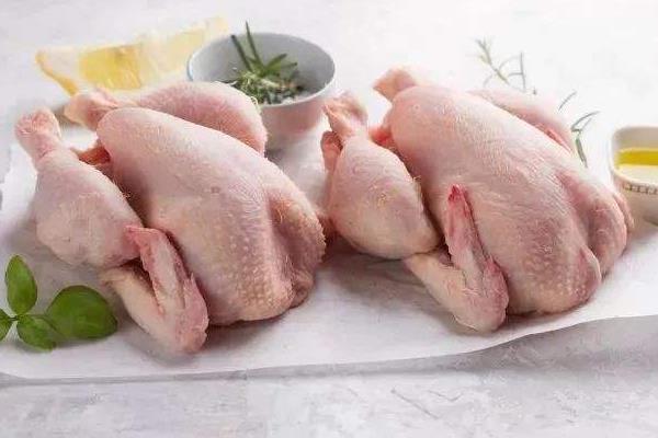 高鐵上能帶殺好的生雞鴨嗎?附高鐵能帶的禽類