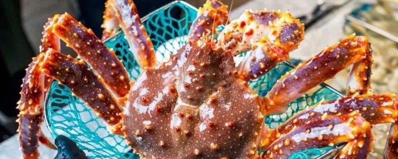 什么蟹最貴多少錢一斤