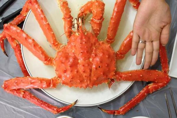 什么蟹最貴多少錢一斤