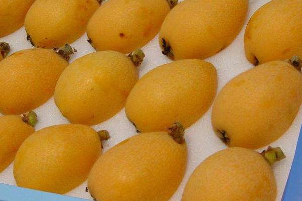 水果代銷規(guī)則，都是怎么合作的，怎么賺取利潤