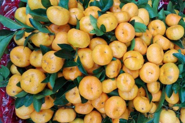 水果代銷規(guī)則，都是怎么合作的，怎么賺取利潤