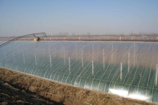 大棚薄膜怎么安裝、固定、繃緊拉緊?