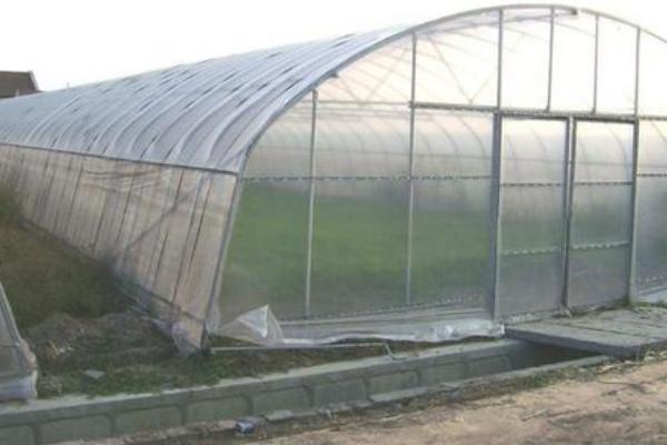 大棚薄膜怎么安裝、固定、繃緊拉緊?