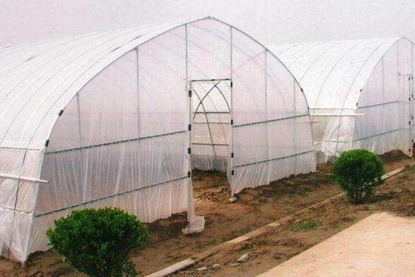 大棚薄膜怎么安裝、固定、繃緊拉緊?