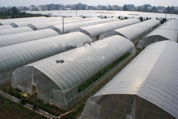 大棚薄膜怎么安裝、固定、繃緊拉緊?