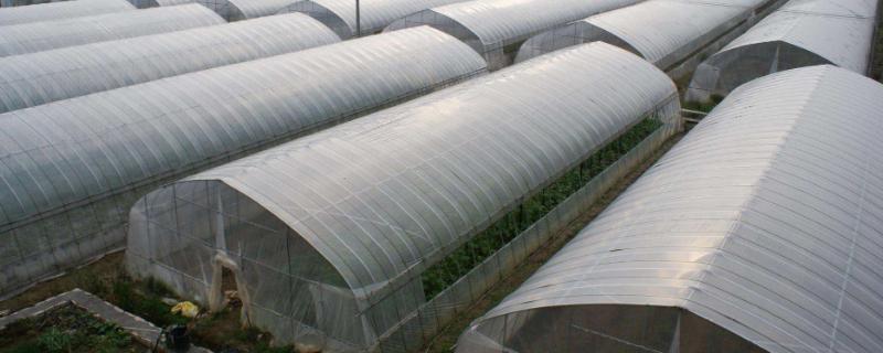 大棚薄膜怎么安裝、固定、繃緊拉緊？