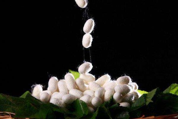 江南桑蠶業(yè)發(fā)達(dá)的原因