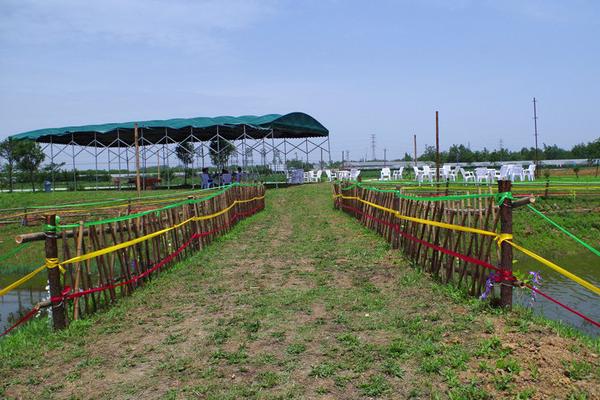 50畝農場規劃,需要多少錢