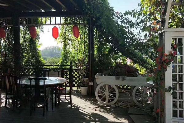 50畝農場規劃,需要多少錢