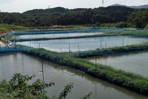 50畝農場規劃,需要多少錢