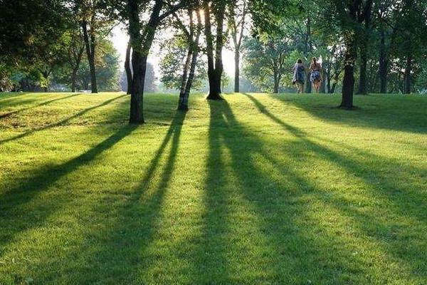 草坪人工費多錢一平米，人工工資怎么算