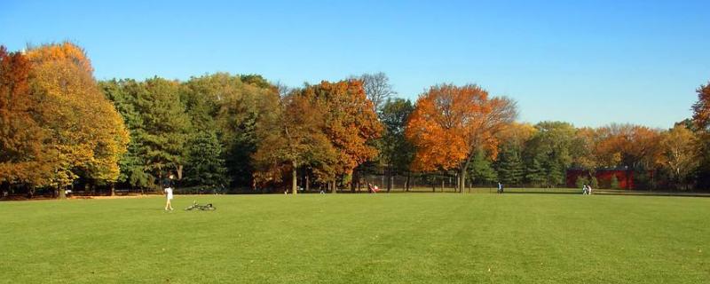 草坪人工費多錢一平米，人工工資怎么算