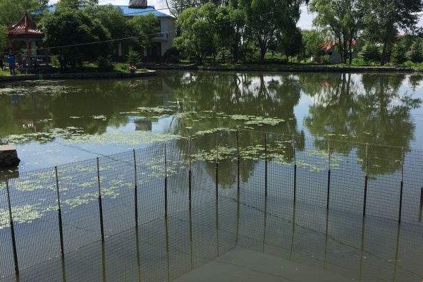 小瓜蟲(chóng)最佳治療方法，小瓜蟲(chóng)是怎么產(chǎn)生的