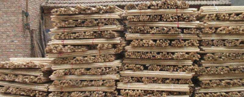 楊樹(shù)板皮加工利潤(rùn)分析