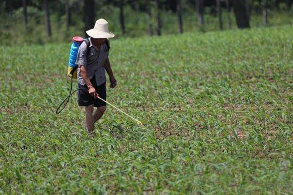 滅生性除草劑有哪些？哪些比較厲害