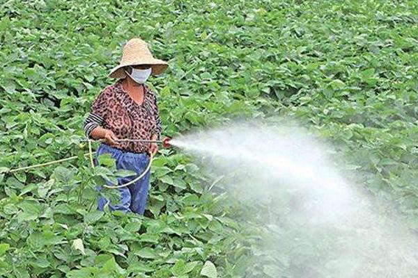 滅生性除草劑有哪些？哪些比較厲害