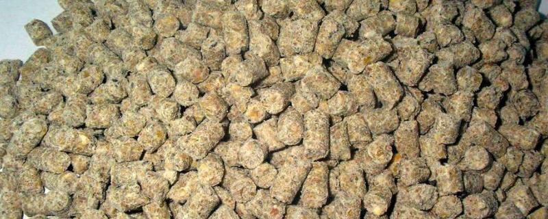 飼料行業今后的發展趨勢