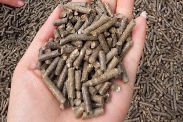 飼料行業今后的發展趨勢