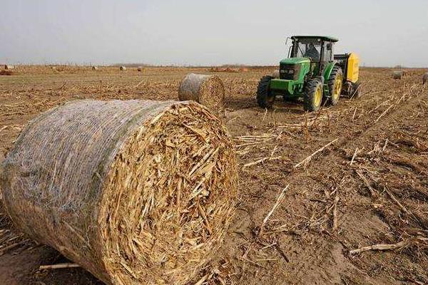 回收秸稈的生意怎么起步，能做嗎？