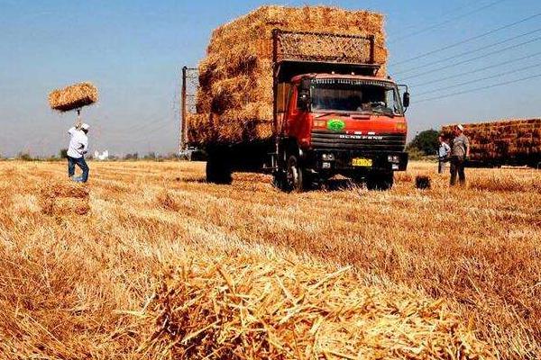 回收秸稈的生意怎么起步，能做嗎？