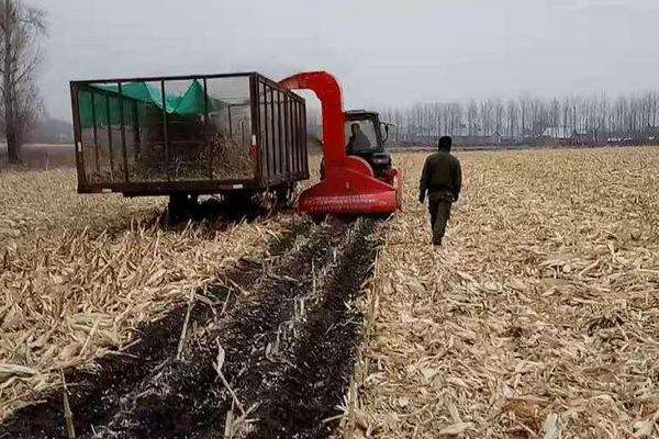 回收秸稈的生意怎么起步，能做嗎？