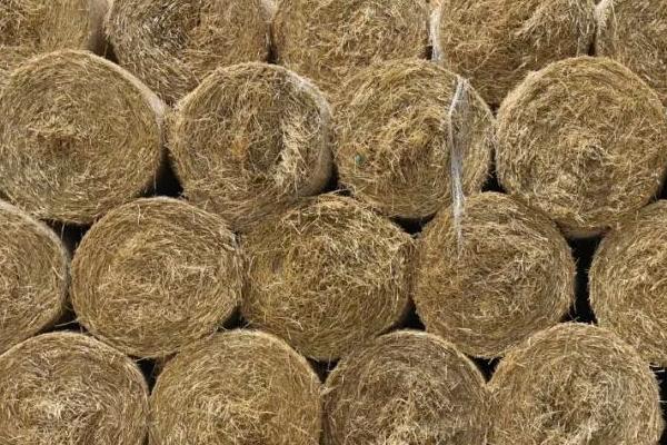 回收秸稈的生意怎么起步，能做嗎？