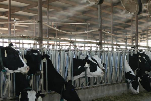 養殖場起名禁忌，風水學角度上這些字建議不要用