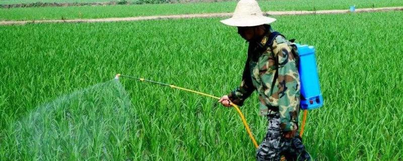 滅生性除草劑有哪些？哪些比較厲害