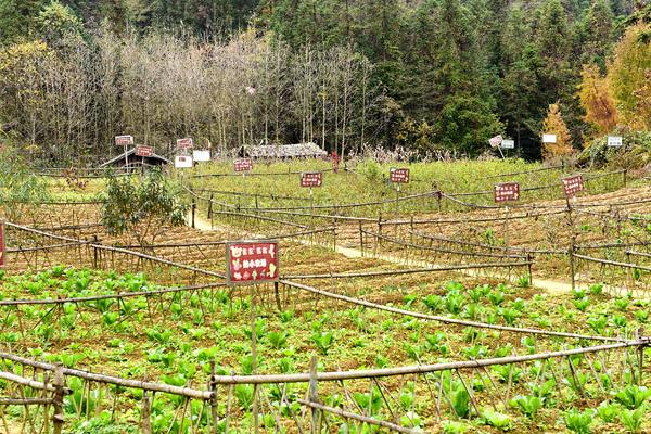種植農場取名大全，有哪些字吉利