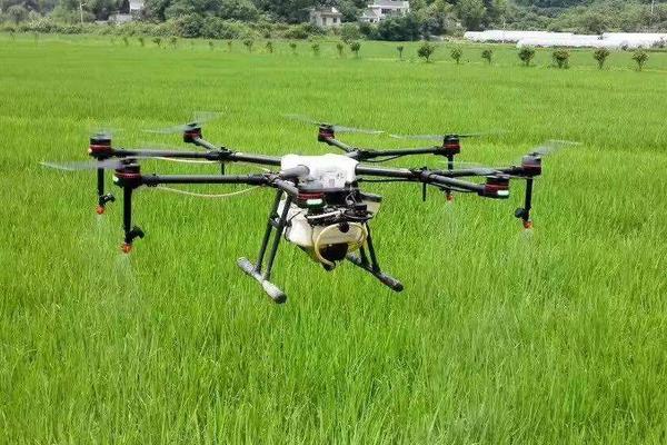 怎樣用尿素除草，多長時間見效