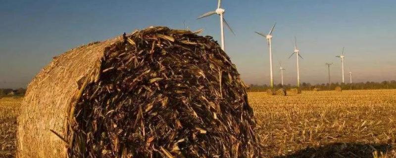 回收秸稈的生意怎么起步，能做嗎？