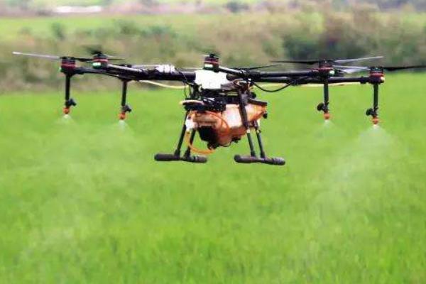 治灰霉病的農(nóng)藥特效藥有哪些