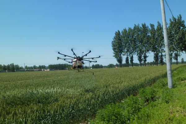 治灰霉病的農(nóng)藥特效藥有哪些