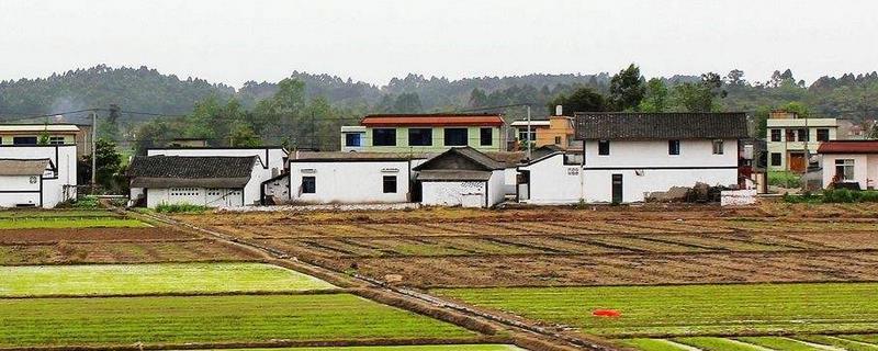 2021在農村干什么掙錢，這幾個小生意前景不錯