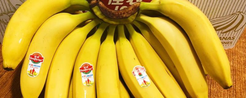 佳農香蕉為什么貴，與普通香蕉有什么不同，市場價格多少錢一斤
