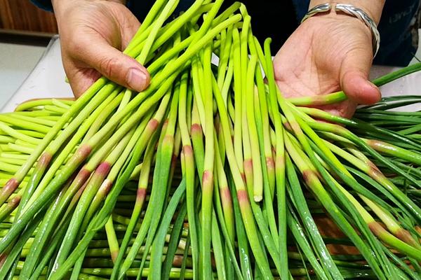 蒜苔苗能吃嗎？蒜苔頭上的花苞能吃嗎？