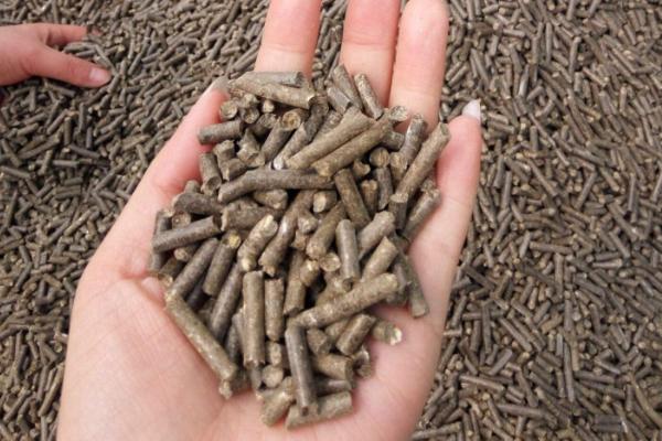 飼料業務員一個月掙多少，怎么跑市場好