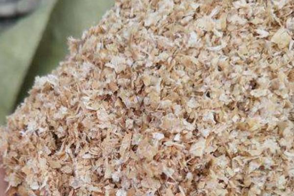 10000只鵪鶉一天多少斤蛋，吃多少飼料