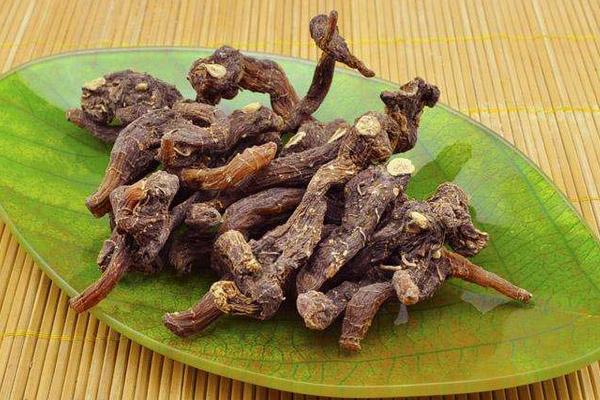 黃精現在市場價怎樣，黃精市場需求量大嗎