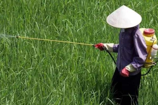 農藥倍數兌水計算公式，建議收藏