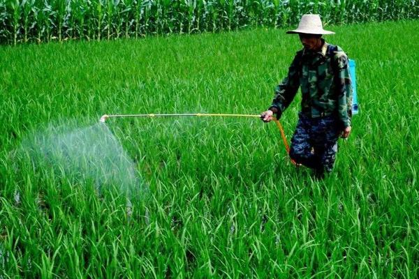 農藥倍數兌水計算公式，建議收藏