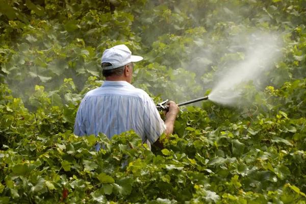 農藥倍數兌水計算公式，建議收藏