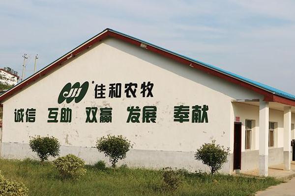 中國大型養豬公司都有哪些