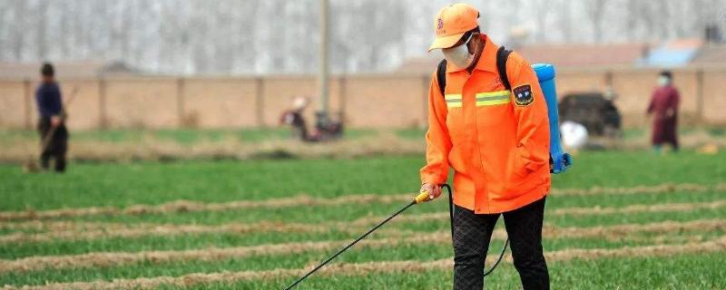 農藥倍數兌水計算公式，建議收藏