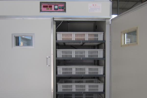 全自動孵化機使用方法？多少錢一臺？